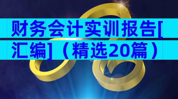 财务会计实训报告[汇编]（精选20篇）